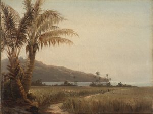 Cocoteros al borde del mar de Camille Jacob Pissarro